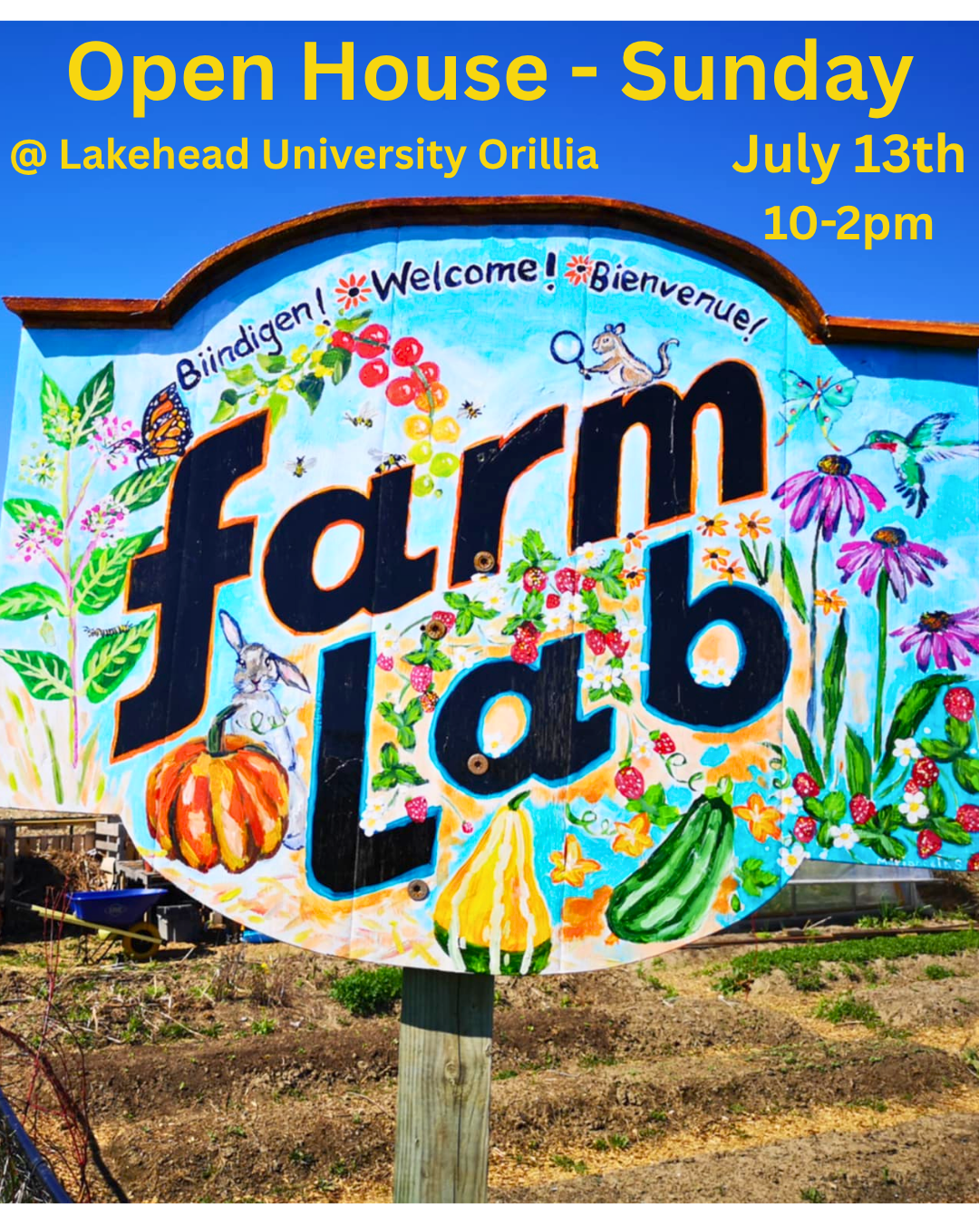 Growing garden based learning